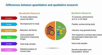 research fellow